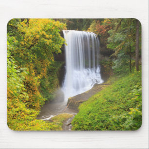 Alfombrilla De Ratón EE. UU., Oregón, Parque Estatal Silver Falls 3