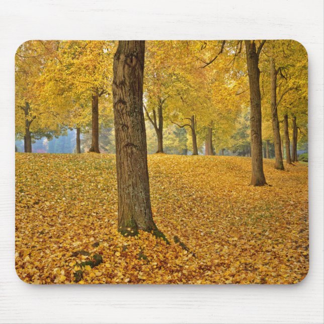 Alfombrilla De Ratón EE.UU., Oregón, Portland. Linden Trees Americanos (Frente)