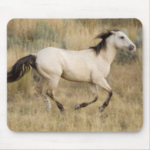 Alfombrilla De Ratón EE. UU., Oregón, Seneca, Ponderosa Ranch. Caballo