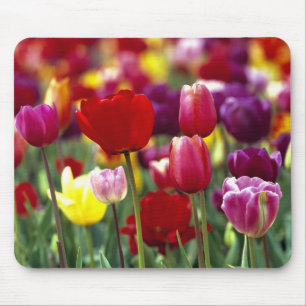 Alfombrilla De Ratón EE.UU., Oregón, Valle Willamette.Hermoso