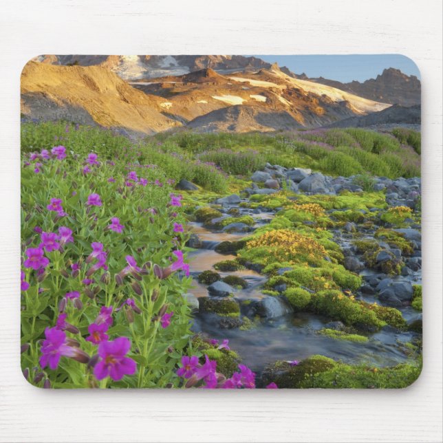 Alfombrilla De Ratón EE. UU., Parque Nacional Mt. Rainier, Washington. (Frente)