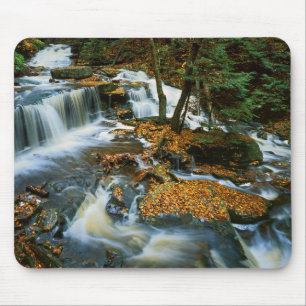 Alfombrilla De Ratón EE. UU., Pensilvania, Parque Estatal Ricketts Glen