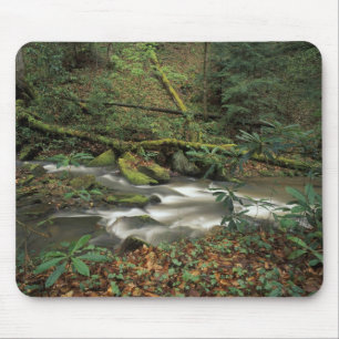 Alfombrilla De Ratón EE. UU., Tennessee. Big South Fork National River