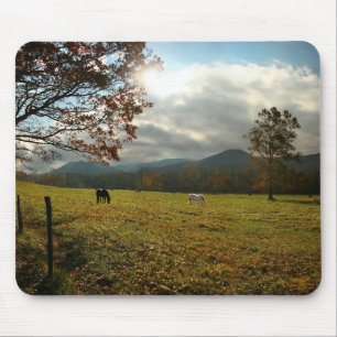 Alfombrilla De Ratón EE. UU., Tennessee. Caballos en el valle de Cades 