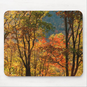 Alfombrilla De Ratón EE. UU., Tennessee. Follaje de otoño