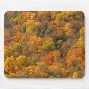 Alfombrilla De Ratón EE. UU., Tennessee. Follaje de otoño 2