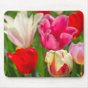 Alfombrilla De Ratón EE.UU., Tennessee, Nashville