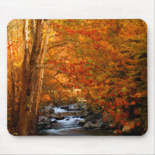 Alfombrilla De Ratón EE. UU., Tennessee. Rushing Mountain Creek 2