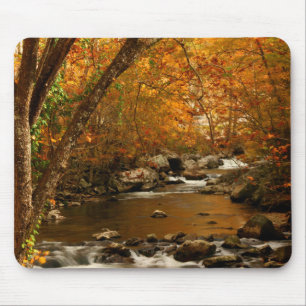 Alfombrilla De Ratón EE. UU., Tennessee. Rushing Mountain Creek 3