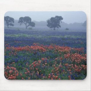 Alfombrilla De Ratón EE.UU., Texas, cerca de Lytle Fog, robles, ungüent
