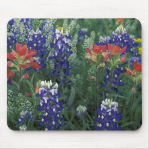 Alfombrilla De Ratón EE. UU., Texas Hill Country. Bluebonnets y