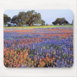 Alfombrilla De Ratón EE.UU., Texas, Llano. Bluebonnets y redbonnet