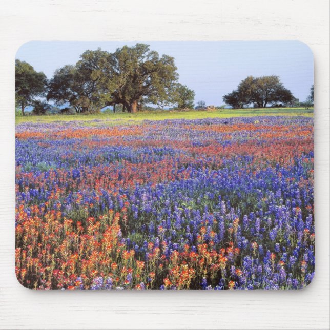 Alfombrilla De Ratón EE. UU., Texas, Llano. Bluebonnets y redbonnets (Frente)
