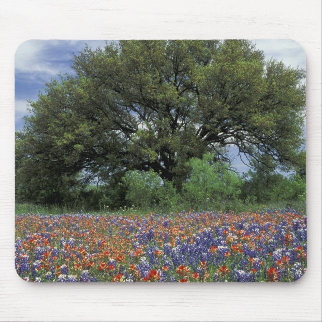 Alfombrilla De Ratón EE. UU., Texas, Marble Falls Paintbrush y (Frente)