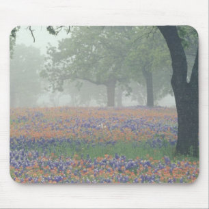 Alfombrilla De Ratón EE.UU., Texas. Pincel de Texas y mallas azules