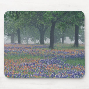 Alfombrilla De Ratón EE. UU., Texas, Texas Hill Country Campo expansivo