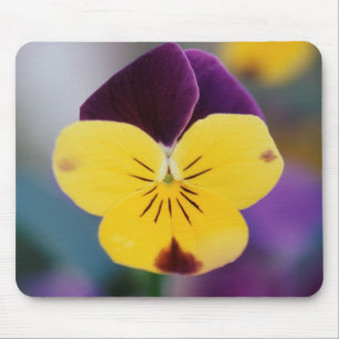 Alfombrilla De Ratón EE. UU., Utah, Primer plano de Viola tricolor en j