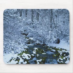 Alfombrilla De Ratón EE.UU., Utah, Wasatch-Catch National Forest,