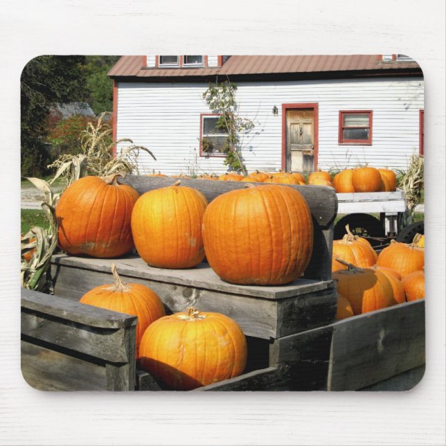 Alfombrilla De Ratón EE. UU., Vermont. Calabazas (Frente)