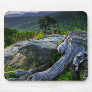 Alfombrilla De Ratón EE. UU., Virginia, Parque Nacional Shenandoah.