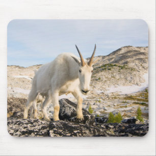 Alfombrilla De Ratón EE. UU., Washington, Cordillera de las Cascadas 3