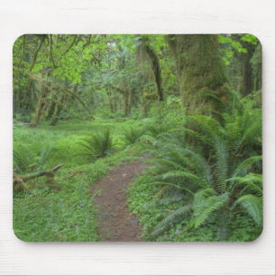 Alfombrilla De Ratón EE. UU., Washington, Parque Nacional Olímpico,