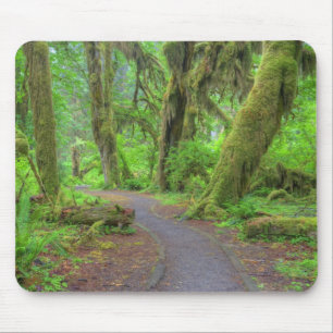 Alfombrilla De Ratón EE. UU., Washington, Parque Nacional Olímpico, Hoh
