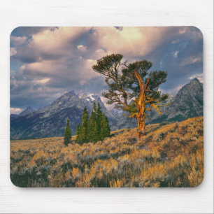 Alfombrilla De Ratón EE. UU., Wyoming, Parque Nacional Grand Teton. El
