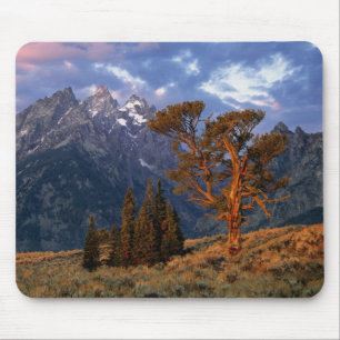 Alfombrilla De Ratón EE. UU., Wyoming, Parque Nacional Grand Teton. Un 