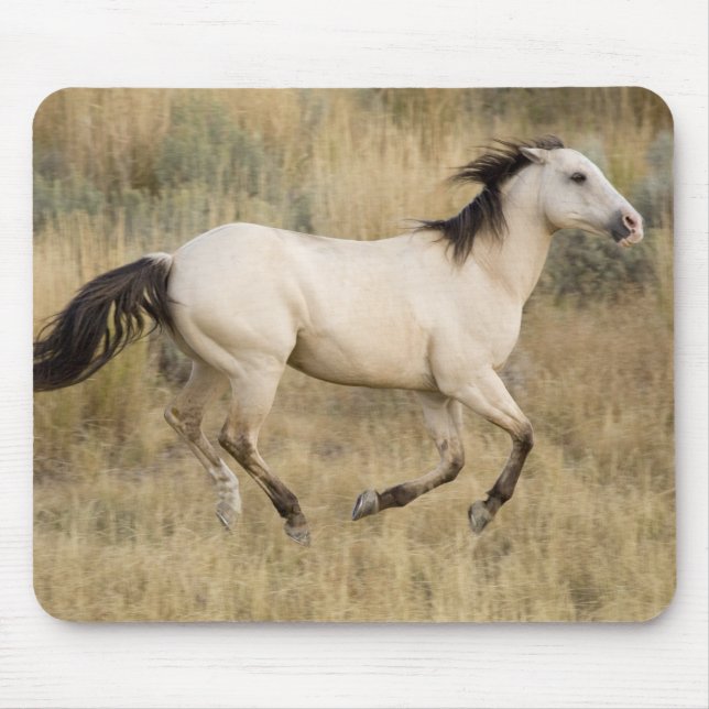 Alfombrilla De Ratón EEUU, Oregón, Seneca, Ponderosa Ranch. Caballo (Frente)