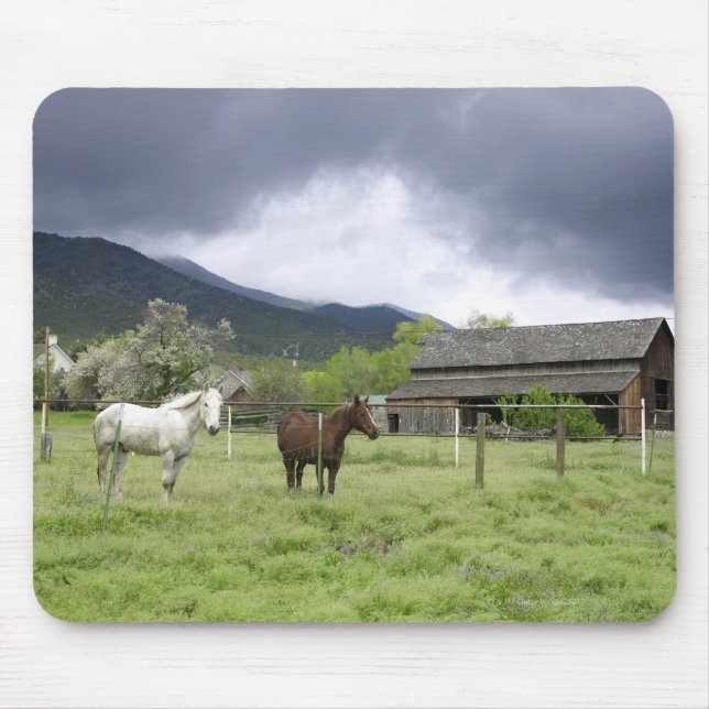 Alfombrilla De Ratón EEUU, Utah, caballos en rancho (Frente)