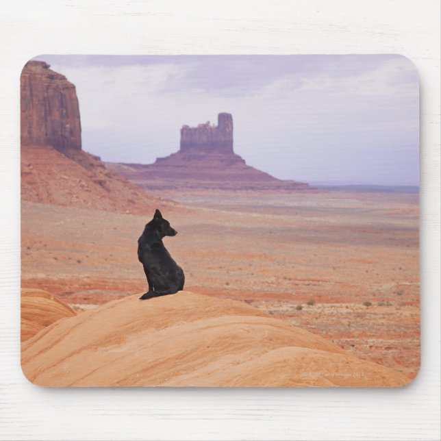 Alfombrilla De Ratón EEUU, Utah, Monument Valley, perro sentado en una  (Frente)