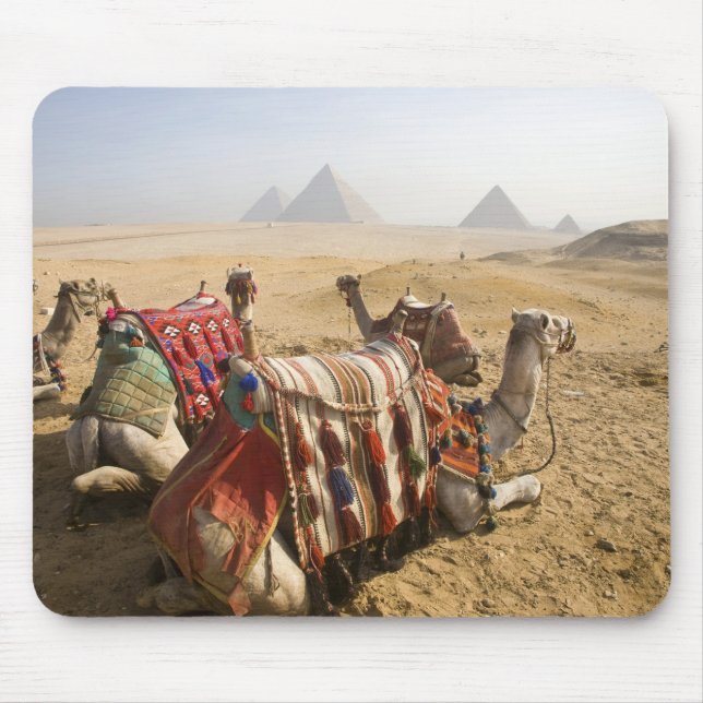 Alfombrilla De Ratón Egipto, El Cairo. Camellos descansando (Frente)