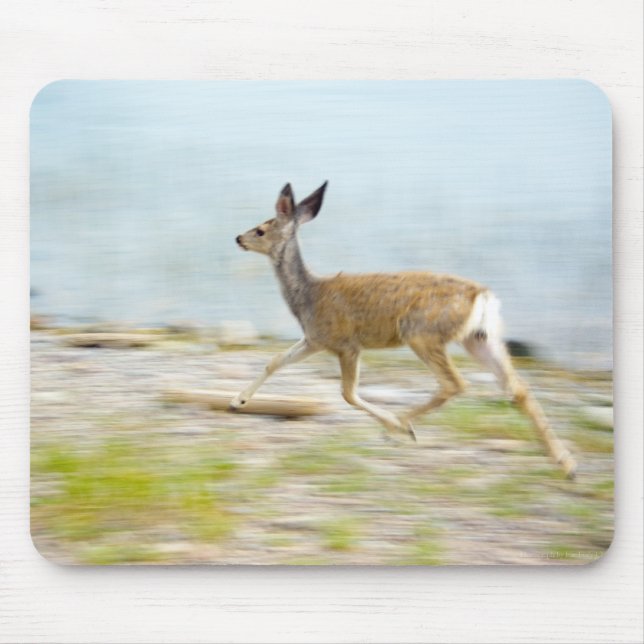 Alfombrilla De Ratón Ejecutando Fawn Mousepad (Frente)