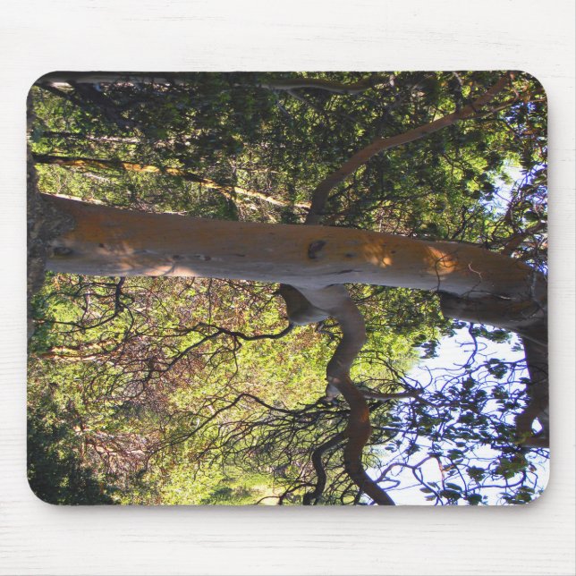 Alfombrilla De Ratón El árbol embrujado... (Frente)