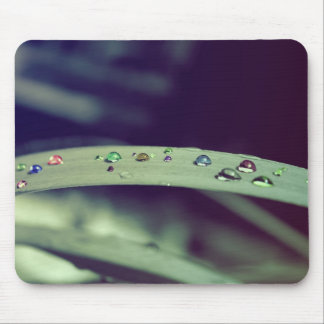 Alfombrilla De Ratón El arco iris cae Mousepad