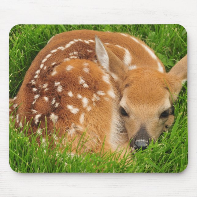 Alfombrilla De Ratón El bebé dormido Fawn (Frente)