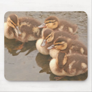 Alfombrilla De Ratón El bebé Ducks la fauna Mousepad de los pájaros