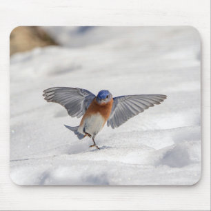 Alfombrilla De Ratón El Bluebird oriental bailando en la nieve