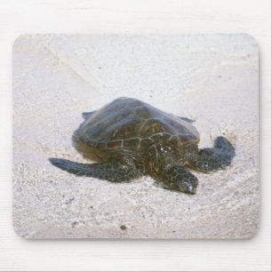 Alfombrilla De Ratón El borde del agua