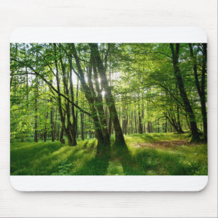 Alfombrilla De Ratón El bosque en primavera