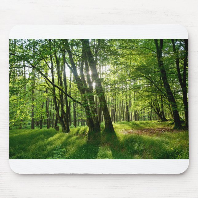 Alfombrilla De Ratón El bosque en primavera (Frente)