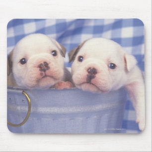 Alfombrilla De Ratón El bulldog, a menudo llamado el bulldog inglés,
