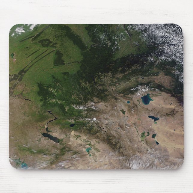 Alfombrilla De Ratón El cambio de vegetación (Frente)