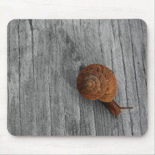 Alfombrilla De Ratón El caracol solo Mousepad