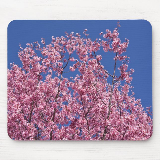 Alfombrilla De Ratón El cerezo Sakura florece en el azul (Frente)