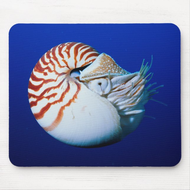 Alfombrilla De Ratón El Cierre Del Nautilus Encantado (Frente)