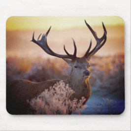 Alfombrilla De Ratón El ciervo rojo temprano en la mañana, almohadilla
