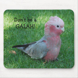 Alfombrilla De Ratón El Cockatoo rosado divertido no es un Galah