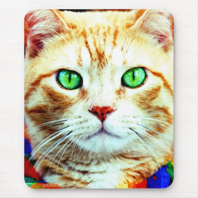 Alfombrilla De Ratón el cojín de ratón (Frente)